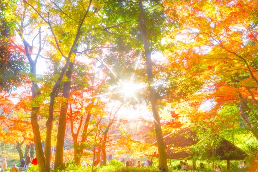 f:id:Yubaaba:20221128201023j:image f:id:Yubaaba:20221128201023j:image
