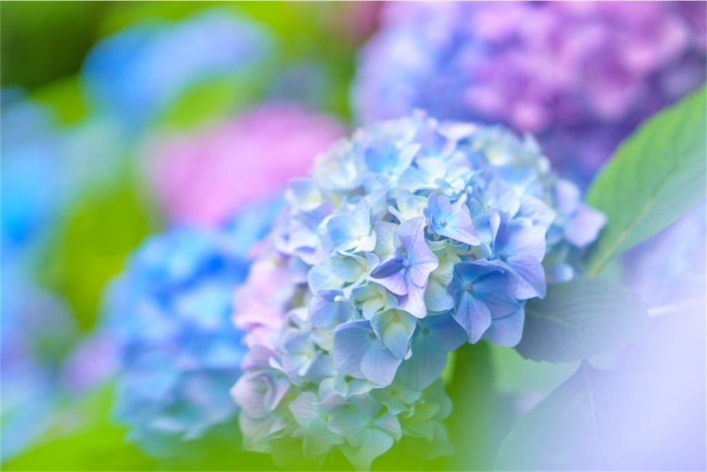 f:id:Yubaaba:20240605115617j:image