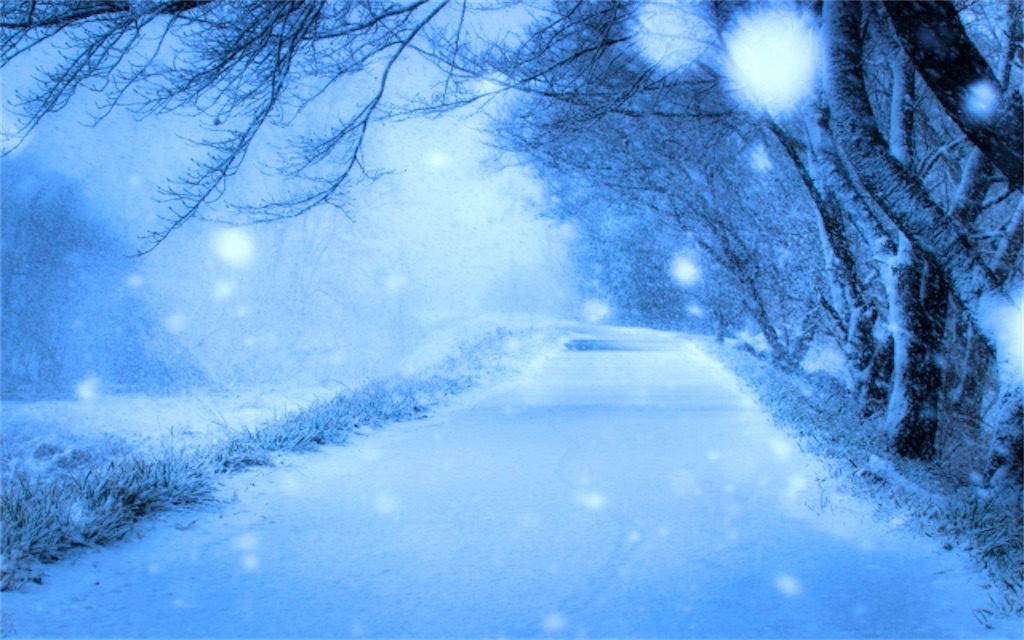 f:id:Yubaaba:20250210165125j:image