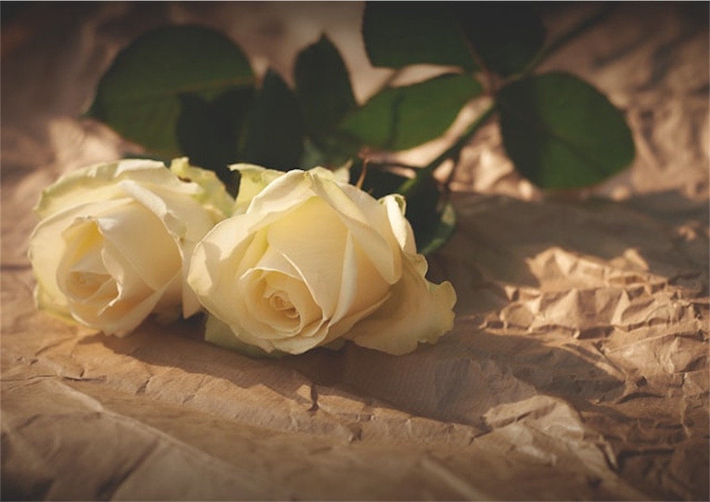 f:id:Yubaaba:20250315151948j:image