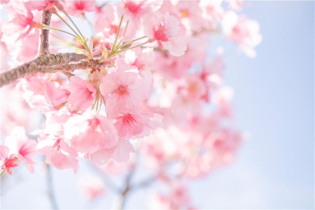 f:id:Yubaaba:20250330174538j:image