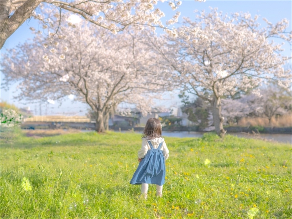 f:id:Yubaaba:20250413144308j:image