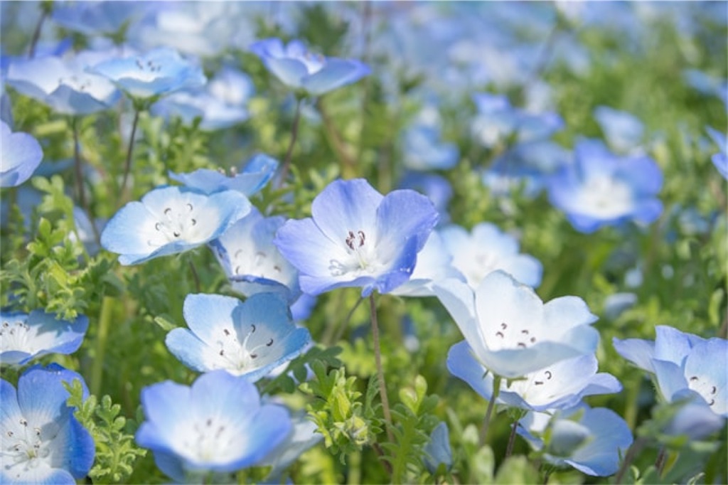 f:id:Yubaaba:20250424083351j:image