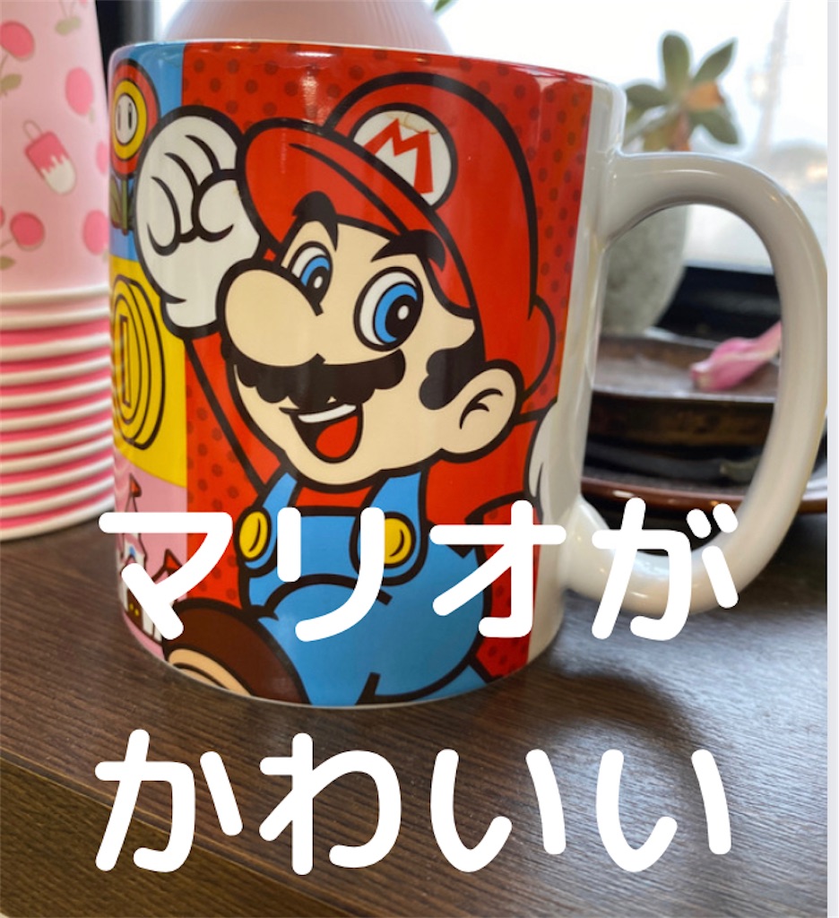 f:id:Yuchocolife:20220309072243j:image f:id:Yuchocolife:20220309072243j:image