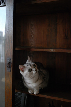 f:id:YugiKasai:20110409160141j:image f:id:YugiKasai:20110409160141j:image