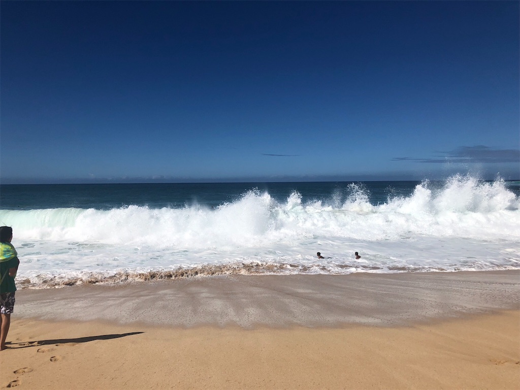 f:id:Yuichibow:20181228000501j:image f:id:Yuichibow:20181228000501j:image