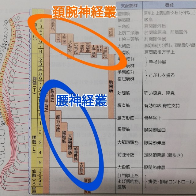 f:id:YujiTim:20191124084210j:image f:id:YujiTim:20191124084210j:image
