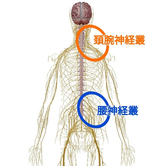 f:id:YujiTim:20191124084219j:image f:id:YujiTim:20191124084219j:image