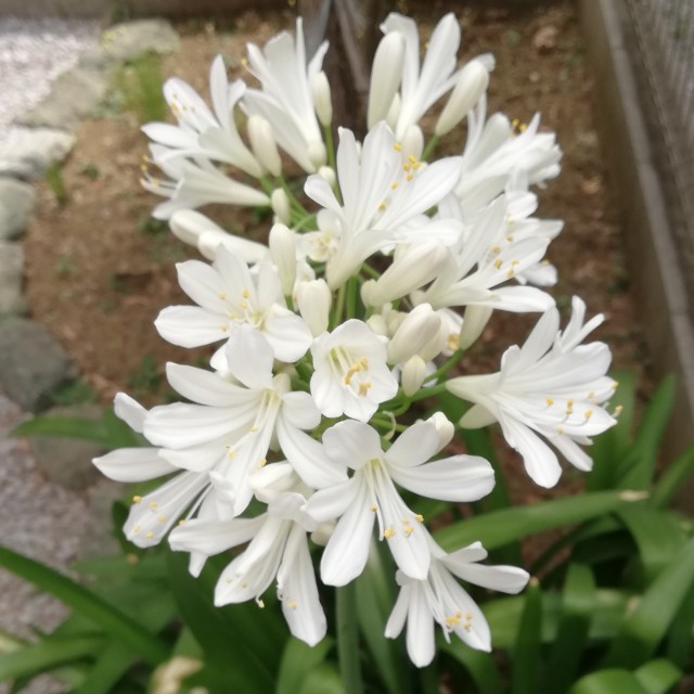 f:id:YujiTim:20220921124736j:image f:id:YujiTim:20220921124736j:image