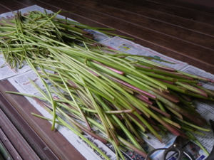 f:id:Yukappa:20100716141803j:image