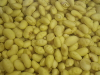 f:id:Yukappa:20110211073150j:image