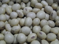 f:id:Yukappa:20110302164026j:image