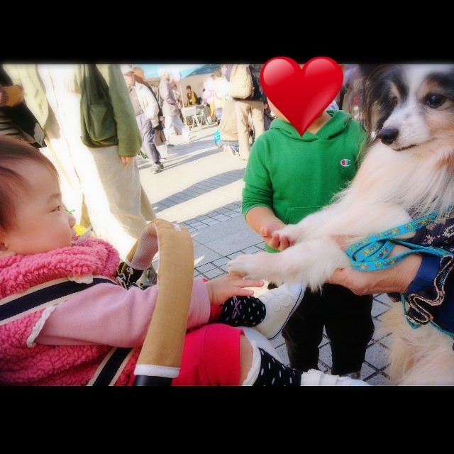 f:id:YukiNOTE:20191223022023j:image