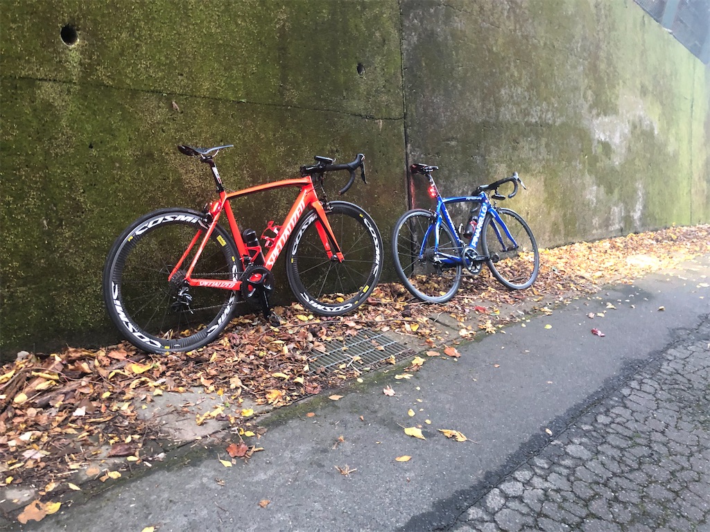 f:id:Yuki_trial_road:20201113081332j:image