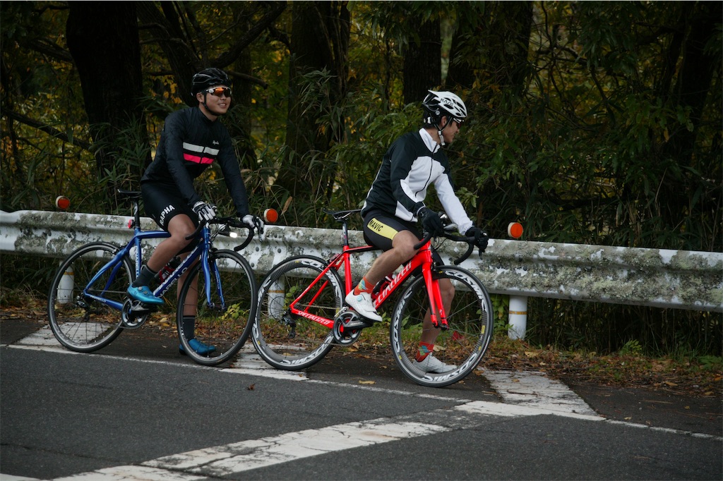 f:id:Yuki_trial_road:20201115150749j:image