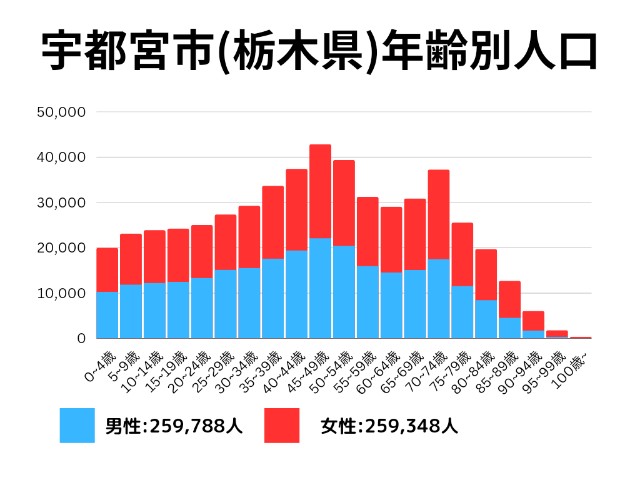 宇都宮市(栃木県)年齢別人口