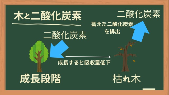 木と二酸化炭素