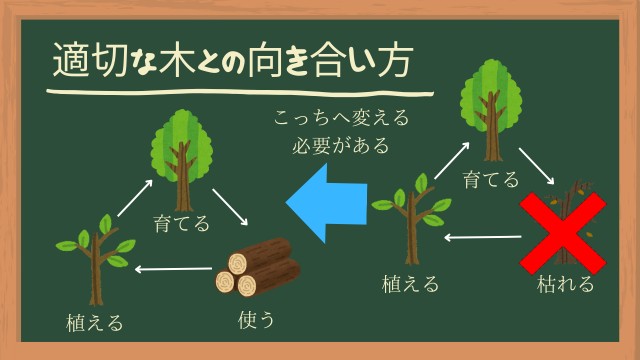 適切な木との向き合い方