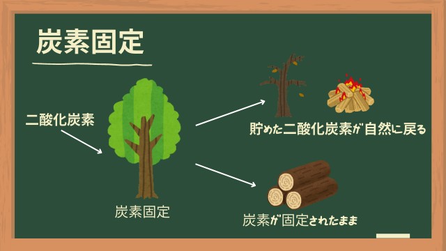 炭素固定