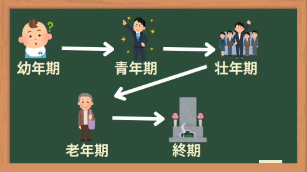ロッシャーの段階説