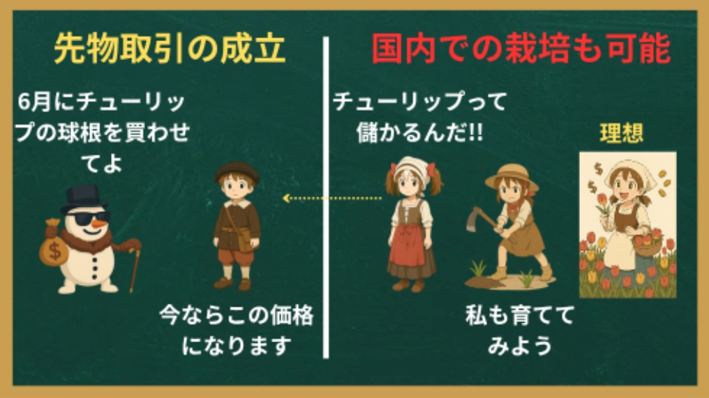 チューリップバブルにおける先物取引と国産化