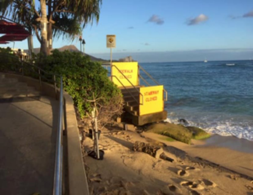 f:id:YukioSakaguchi:20201119103515j:plain