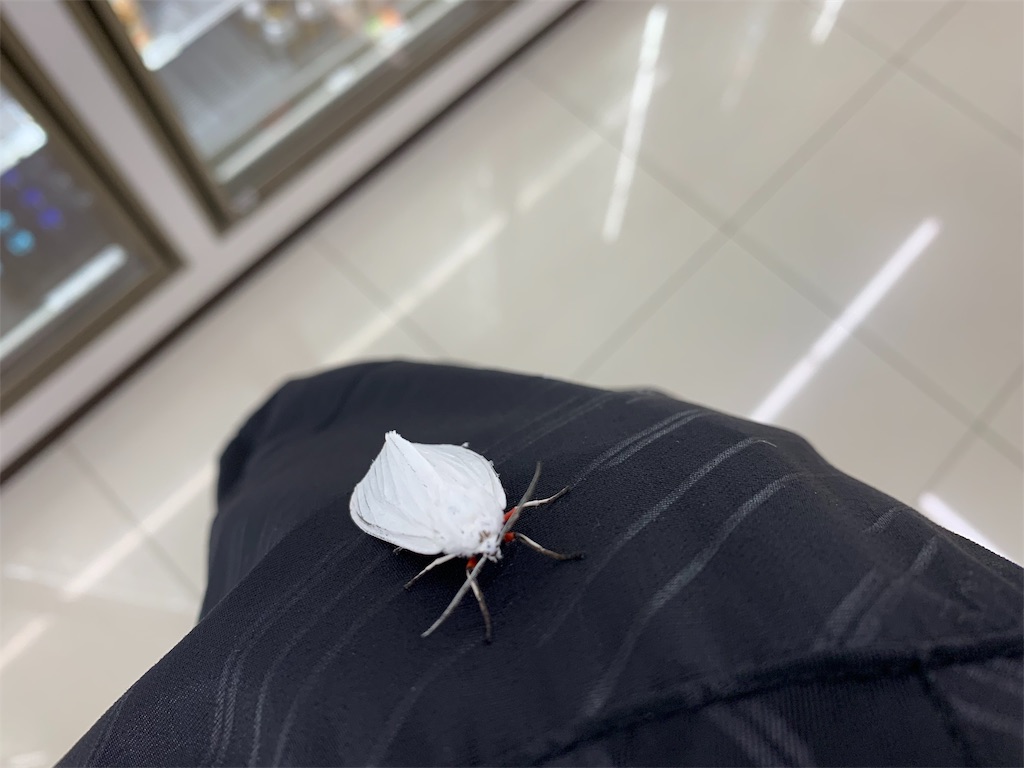 f:id:Yukitokidoki:20190805203413j:image f:id:Yukitokidoki:20190805203413j:image