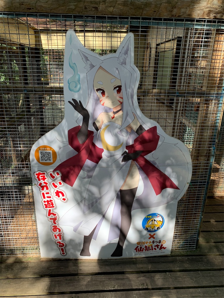 f:id:Yukitokidoki:20191004200321j:image f:id:Yukitokidoki:20191004200321j:image