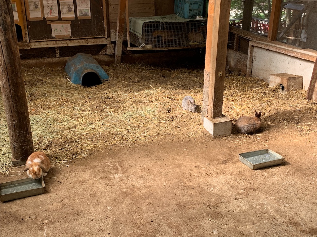 f:id:Yukitokidoki:20191004200404j:image f:id:Yukitokidoki:20191004200404j:image