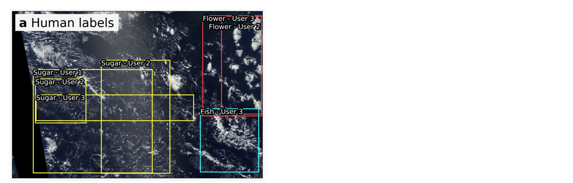 Kaggle 雲コンペ 反省録 機械学習 Memo F W