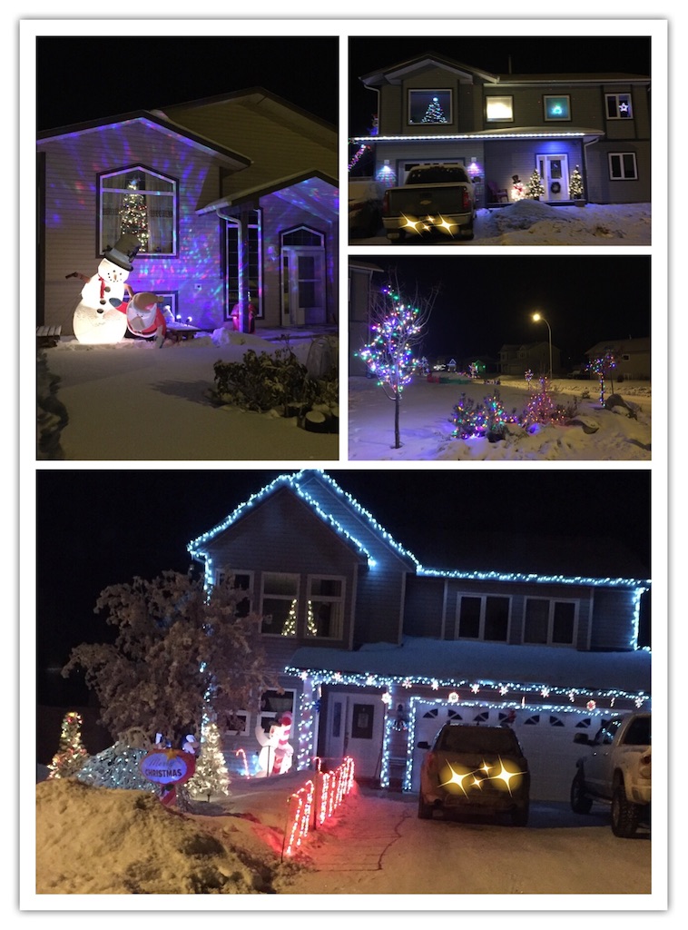 ユーコンで迎える初めてのクリスマス (カナダ)でサステナブルな暮らし