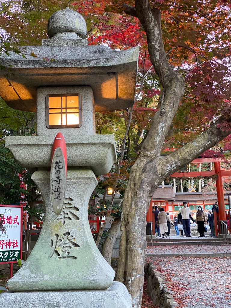 f:id:Yukonosuke:20201118175624j:image