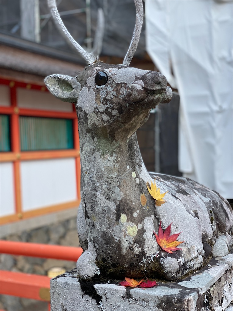 f:id:Yukonosuke:20201118181126j:image