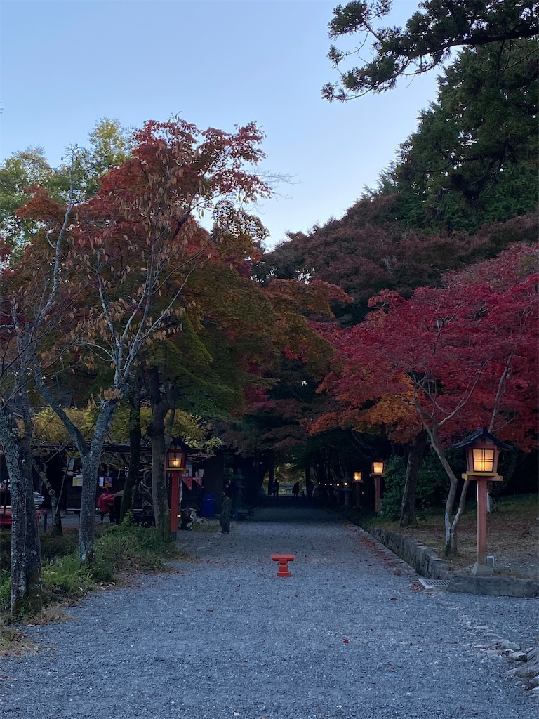 f:id:Yukonosuke:20201118181755j:image