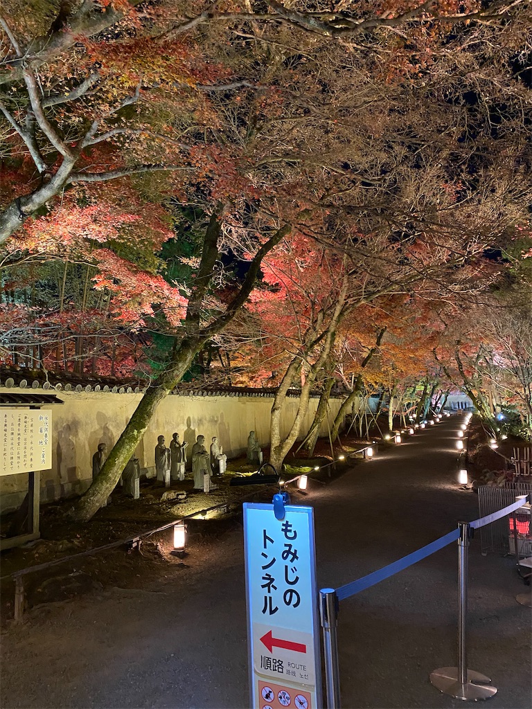 f:id:Yukonosuke:20201212212055j:image
