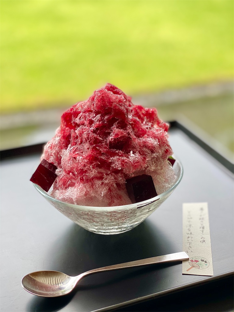 f:id:Yukonosuke:20210717222356j:image f:id:Yukonosuke:20210717222356j:image