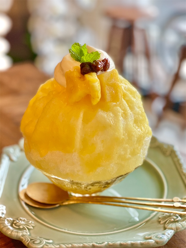 f:id:Yukonosuke:20210717224442j:image f:id:Yukonosuke:20210717224442j:image