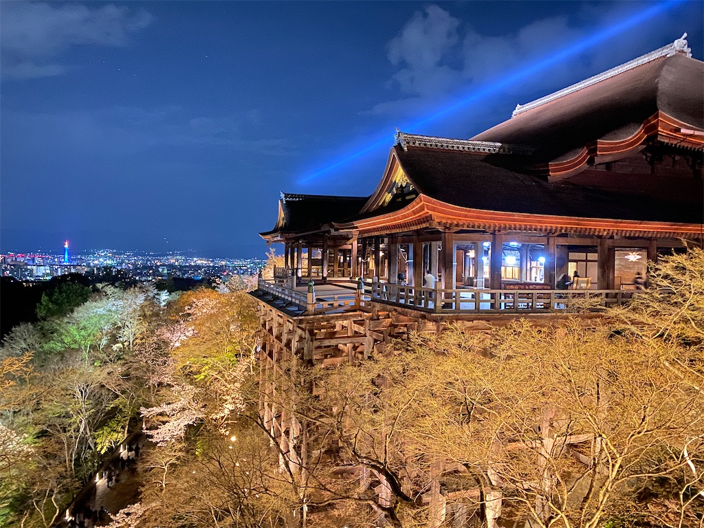 京都さくら旅行🌸2022】お花見茶屋🍡🌸行列の出来る鰹節丼に世界遺産