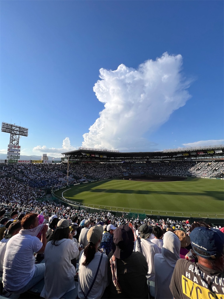 今年の暑くて熱い🌻熱闘甲子園】甲子園球場に行ってみよう⚾️ゆこの