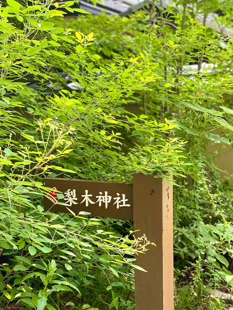 【Coffee Base NASHINOKI☕️】京都御所東⛩梨木神社の境内にある名水で淹れるコーヒースタンド - ゆこの気ままな京都暮らし