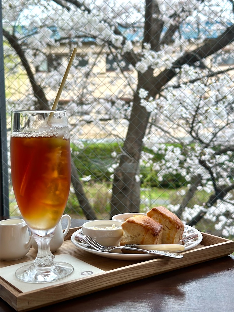 f:id:Yukonosuke:20230329224141j:image