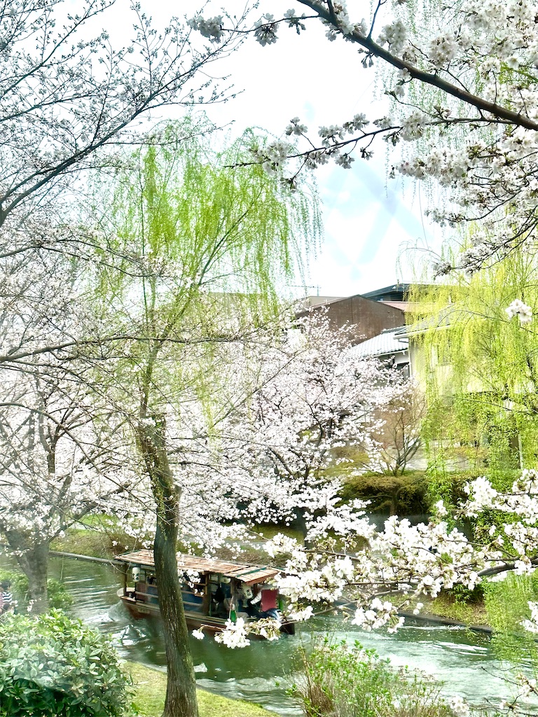 f:id:Yukonosuke:20230329224713j:image