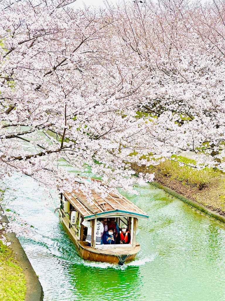 f:id:Yukonosuke:20230330111158j:image
