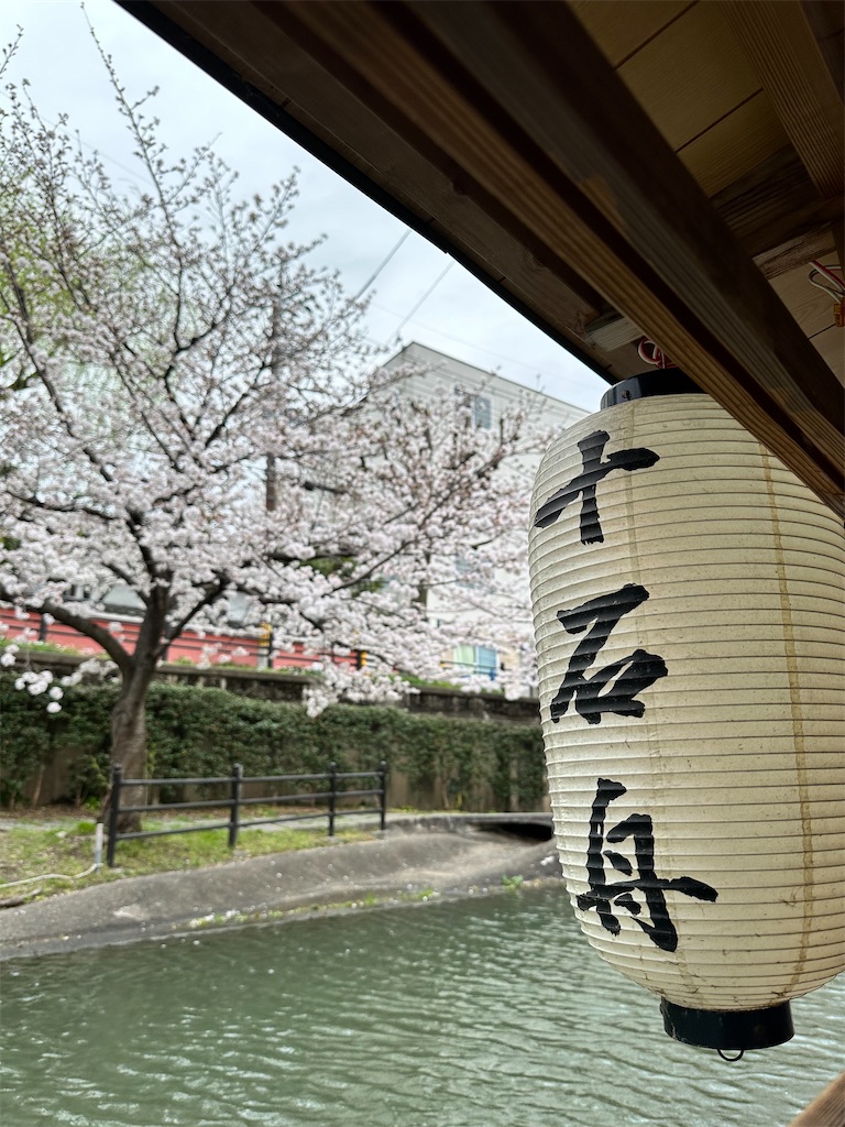 f:id:Yukonosuke:20230404195351j:image