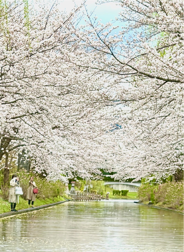 f:id:Yukonosuke:20230404195900j:image