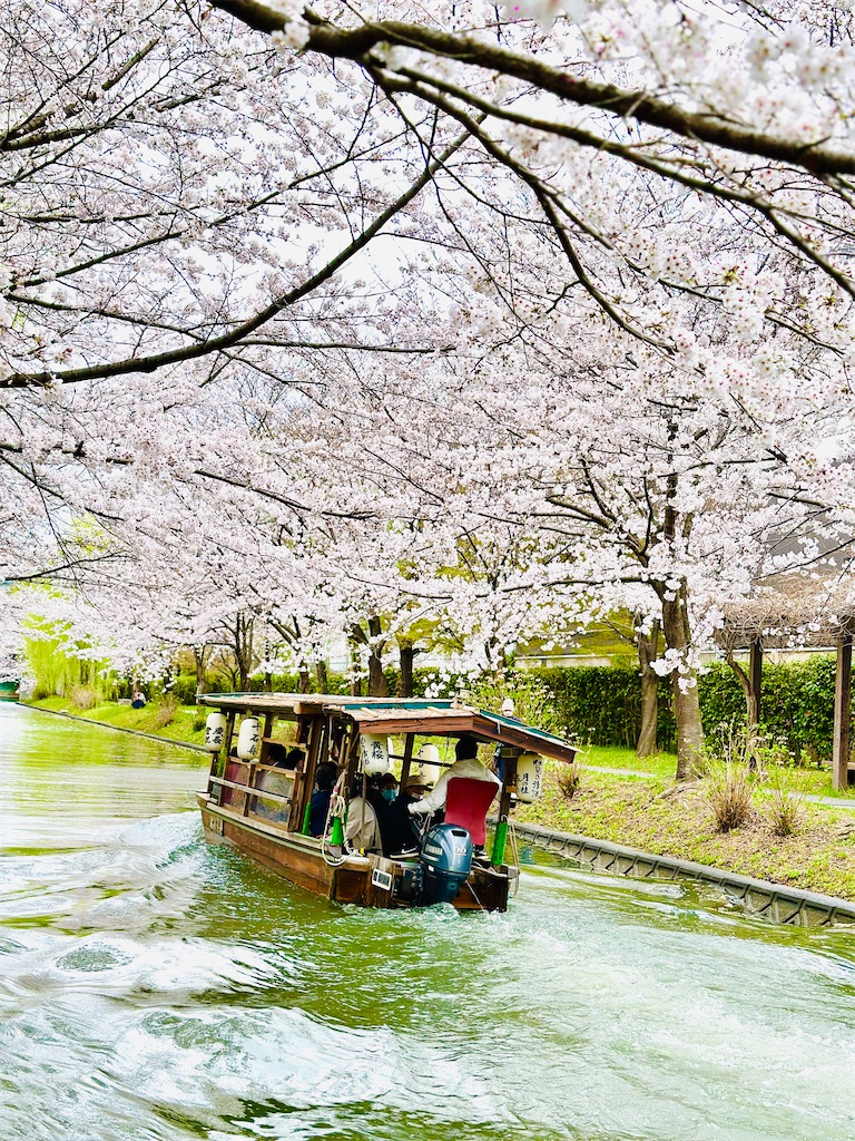 f:id:Yukonosuke:20230404200440j:image