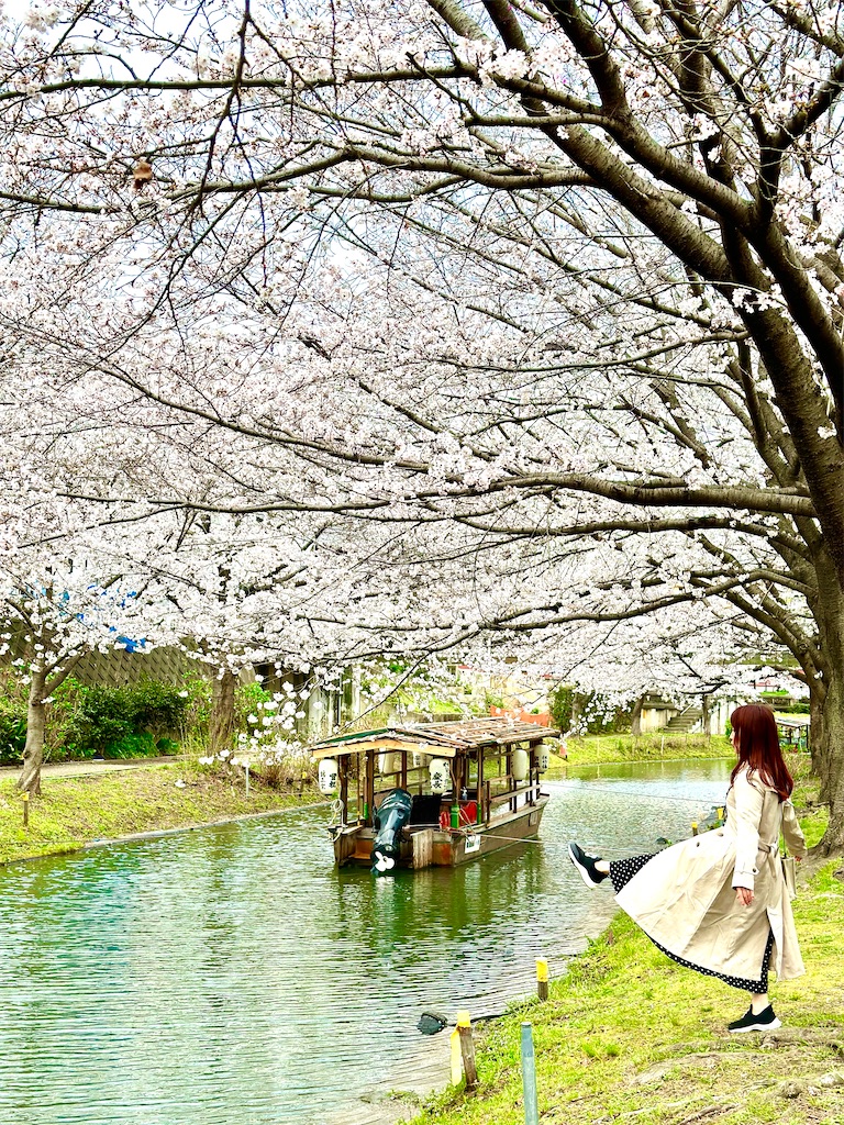 f:id:Yukonosuke:20230404201546j:image