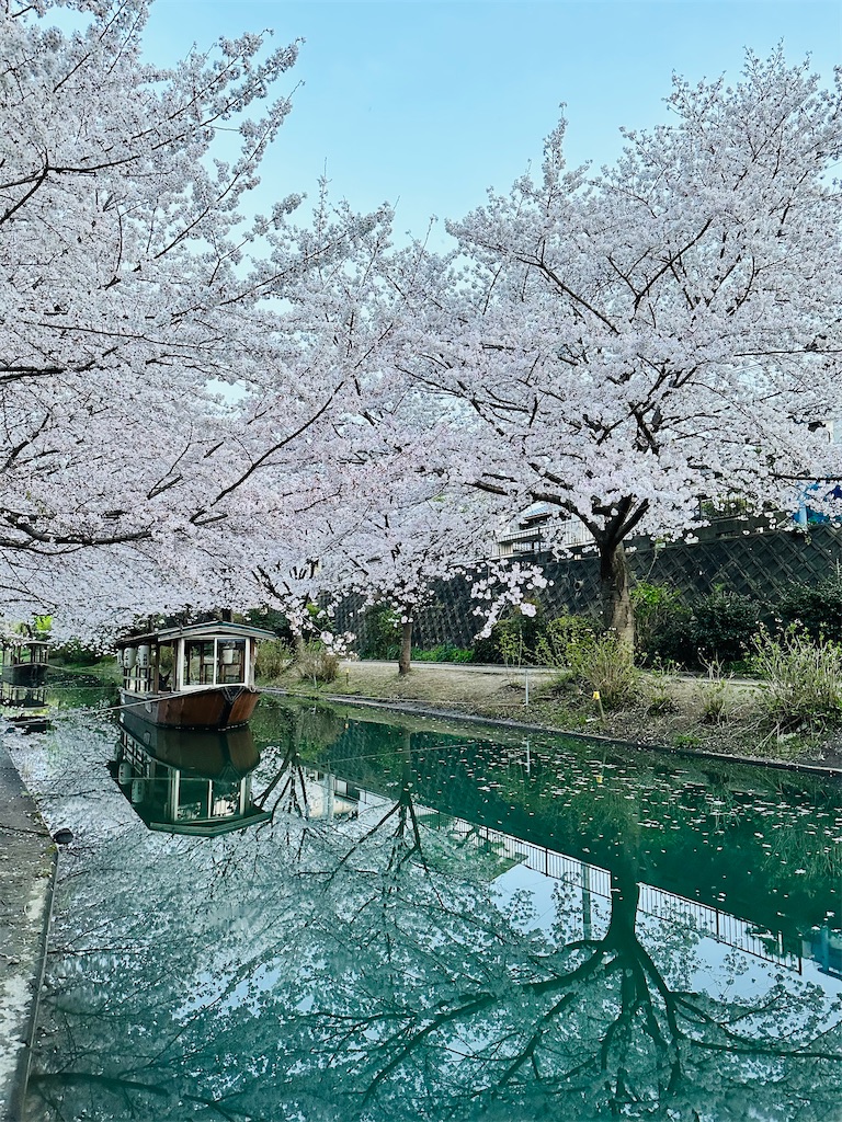 f:id:Yukonosuke:20230404202357j:image