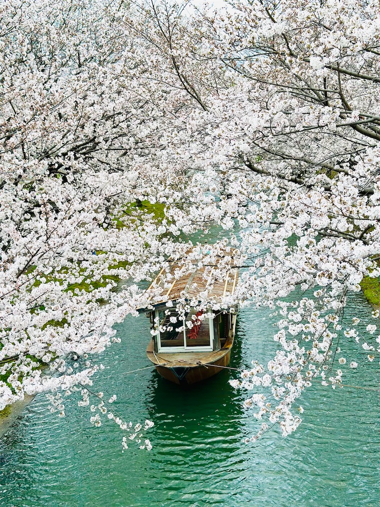 f:id:Yukonosuke:20230404202609j:image