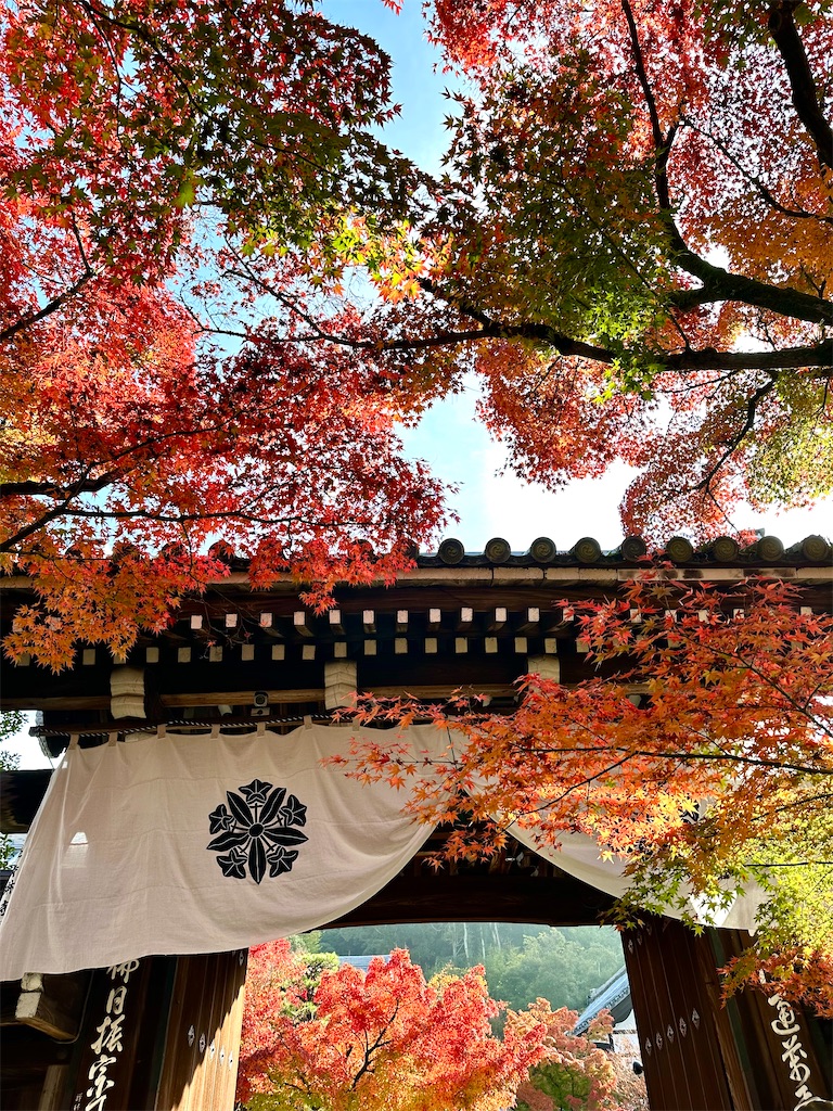 f:id:Yukonosuke:20231024191925j:image